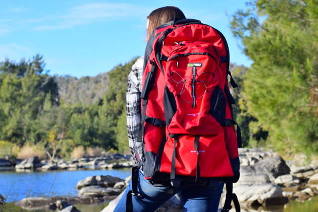 Black wolf backpack with wheels online