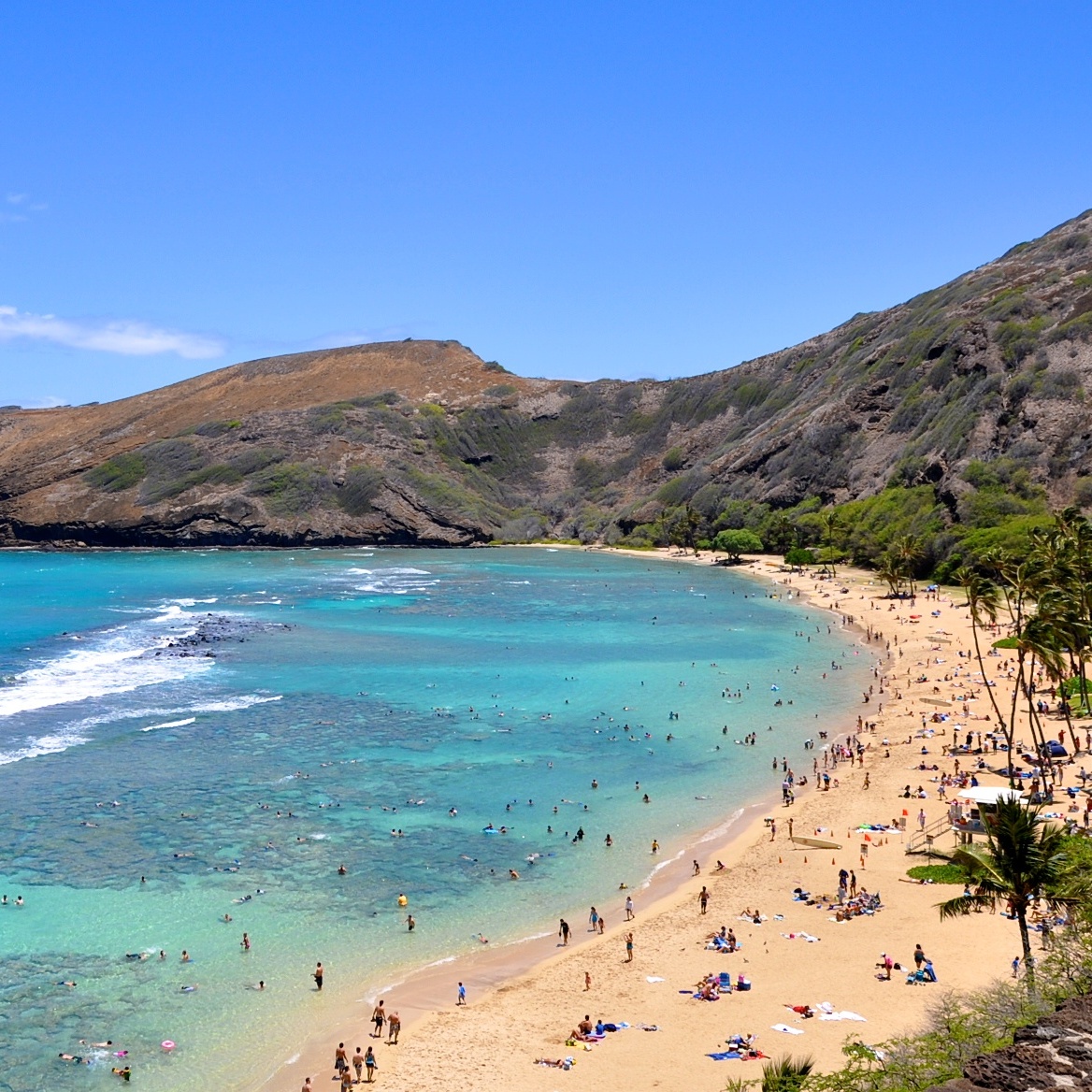 6 Top Swimming Spots in Honolulu - Mapping Megan