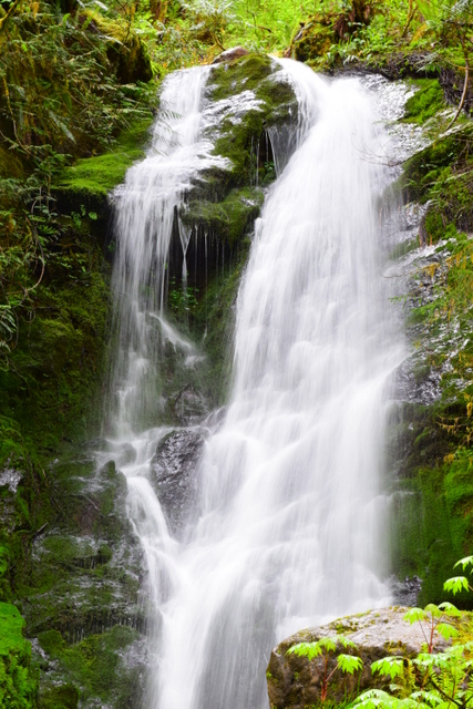 Your Complete Guide to an Unplugged Vacation in Olympic National Park ...