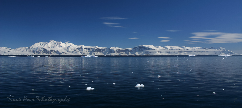 How to get a cruise ship job to Antarctica