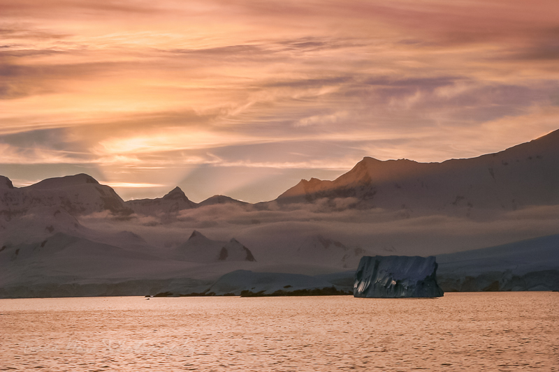 How to get a cruise ship job to Antarctica.