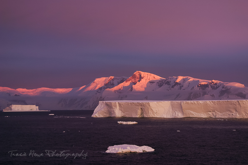 How to get a cruise ship job to Antarctica.