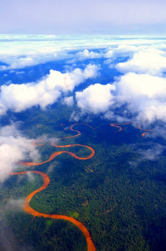 Amazon Bolivia