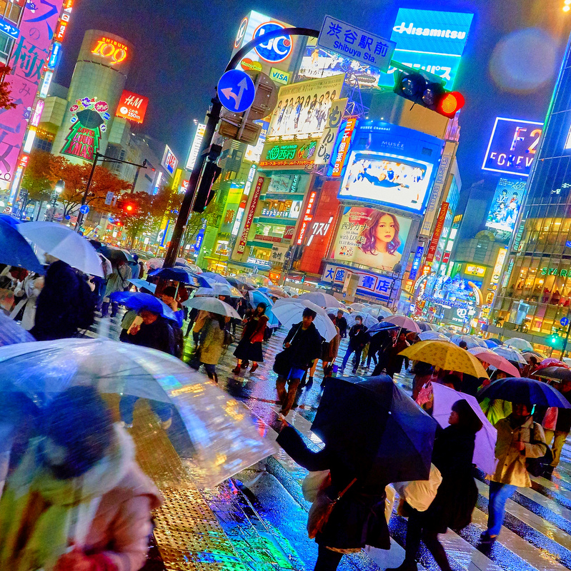 When to Visit Tokyo: Reasons to Visit in Summer, Autumn, Winter, and