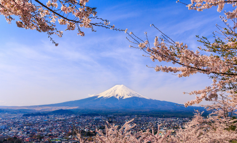 Why Hanami Season is the Best Time to Visit Japan - Mapping Megan