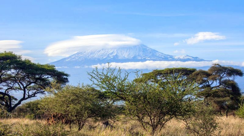 The Best Tanzania Holiday: Climb Kilimanjaro and an African Safari ...