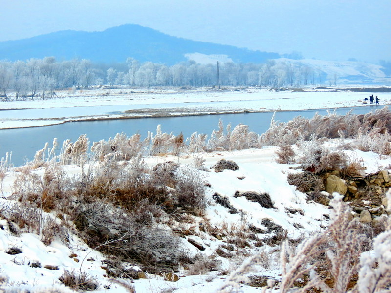 Wusong Island