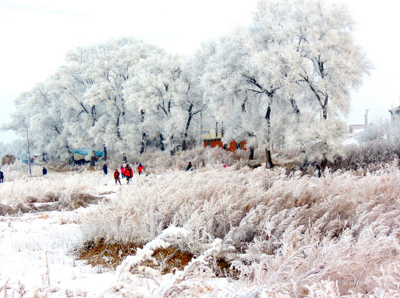 Wusong Island