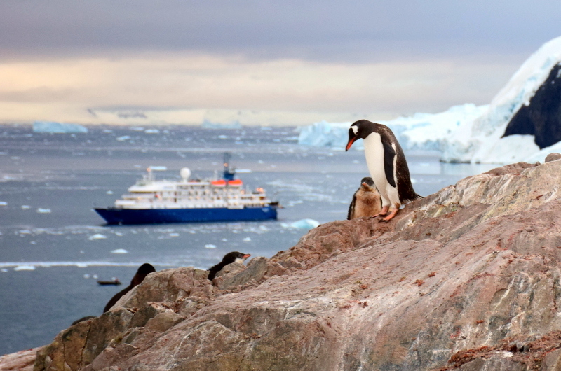 First-Timers to Antarctica: Don't Forget These Important 5 Things ...