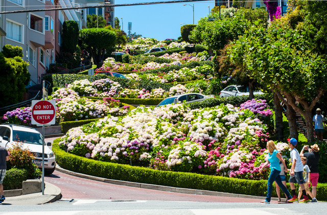 Stop at Lombard Street to watch as bikes and cars navigate the world’s most crooked street.