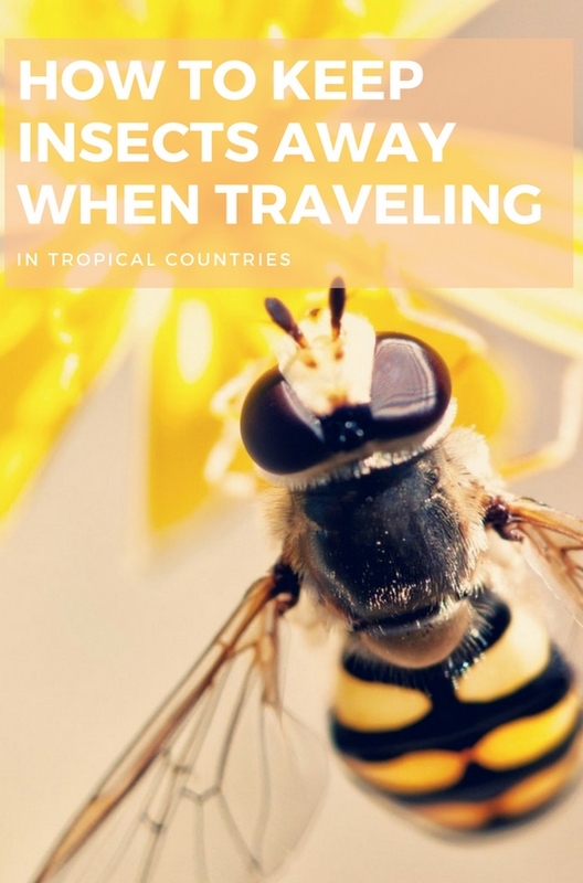 Don't let insects discourage you from visiting a country you always wanted to visit. Here are a few basic tips on how to keep insects away.