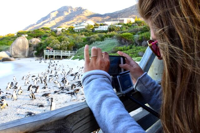 Boulders Beach, South Africa