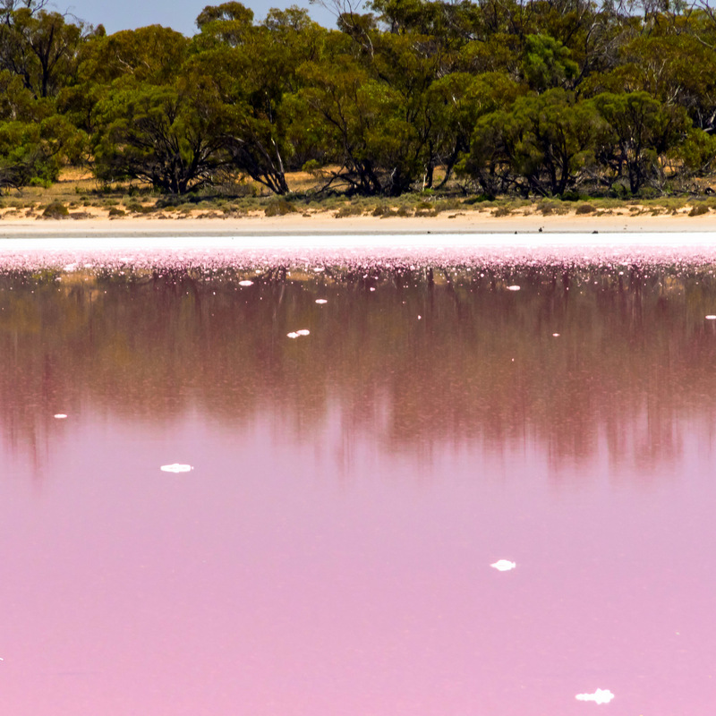 Did You Know Australia Has Pink Lakes You Have To See These To Believe 