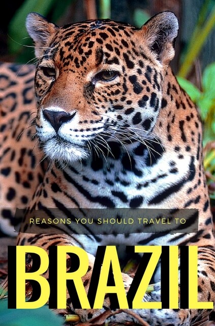 Four Reasons You Should Book A Flight To Brazil - Mapping Megan