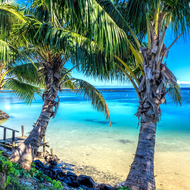 5 Reasons to Visit Samoa (Because You DESERVE a Tropical Break ...