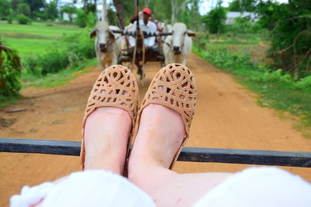 Mox perfect travel shoe review ox cart