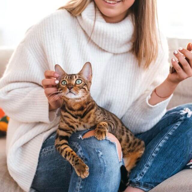 The Do’s and Don’ts of International Housesitting – An Etiquette Guide