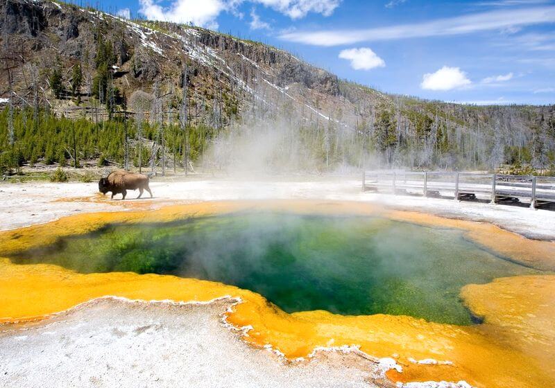 Yellowstone RF