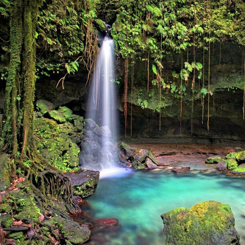 Фото dominica phoenix