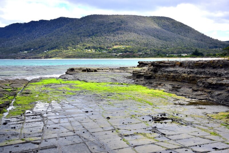 Tasman National Park Tasmania Tesselated Pavement