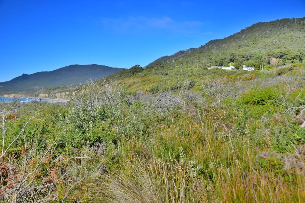 Wayfarer Tasman Peninsula Review